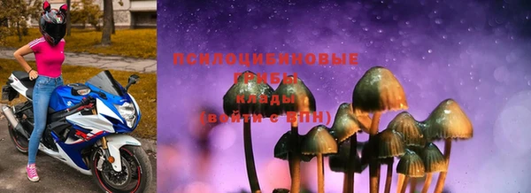 шишки Абдулино