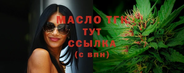 индика Абаза