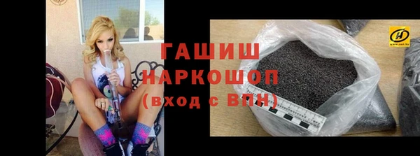 индика Абаза