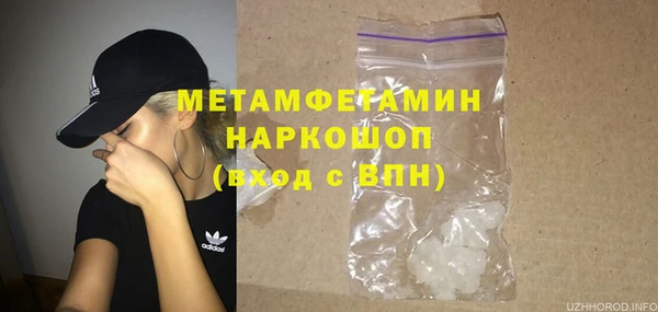 индика Абаза