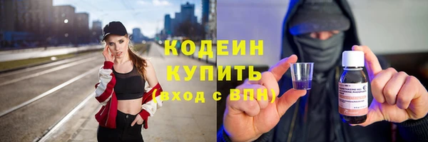 индика Абаза