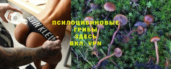 шишки Абдулино