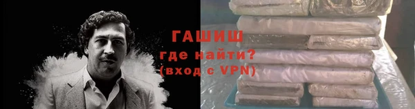 индика Абаза