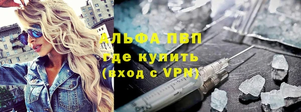 индика Абаза