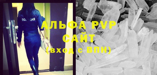 индика Абаза