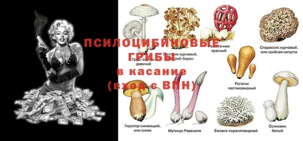индика Абаза